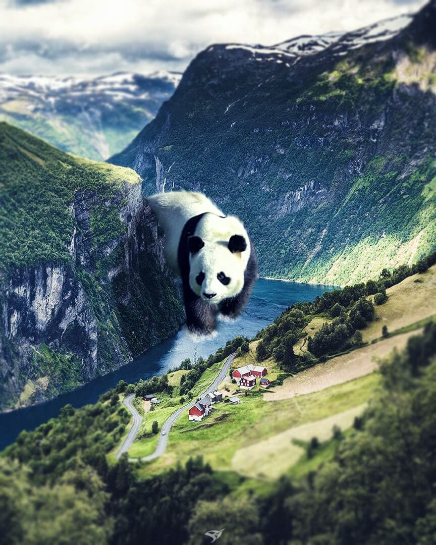 Big Panda